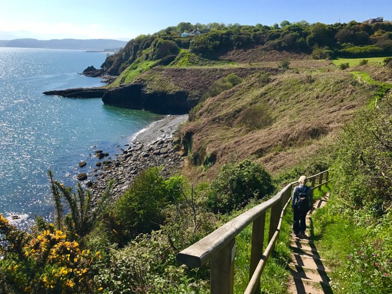 Path at Borth Wen 