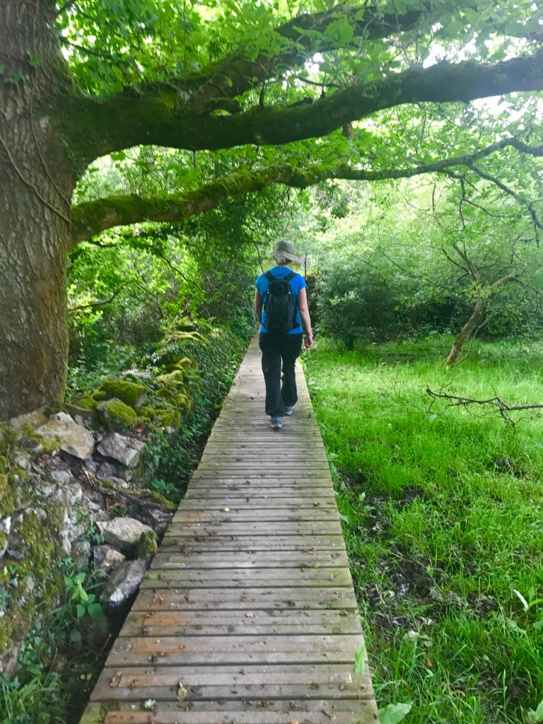 Pen Y Parc boardwalk 