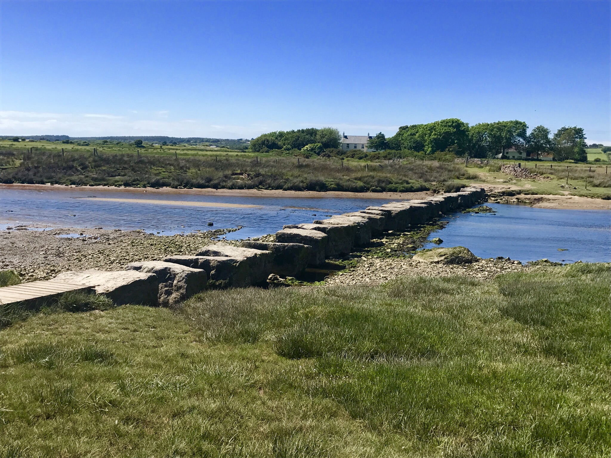 Anglesey Coastal Path Stepping Stones