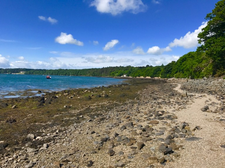 Path near Llanidan Path near Llanidan